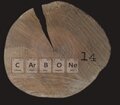 Carbone 14