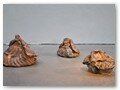 FAJRO Une exposition de Bettina Samson avec Lucien petit et Hervé Rousseau